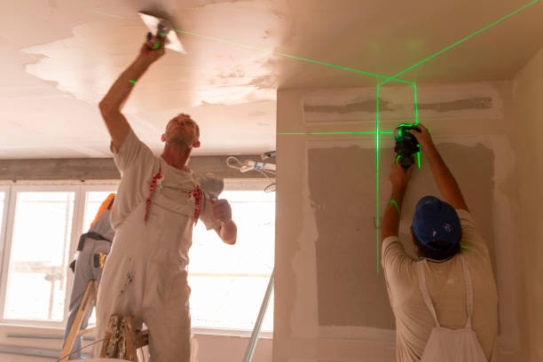 Best Basement Mold Removal  in Brownsboro, TX